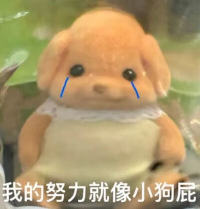 表情包