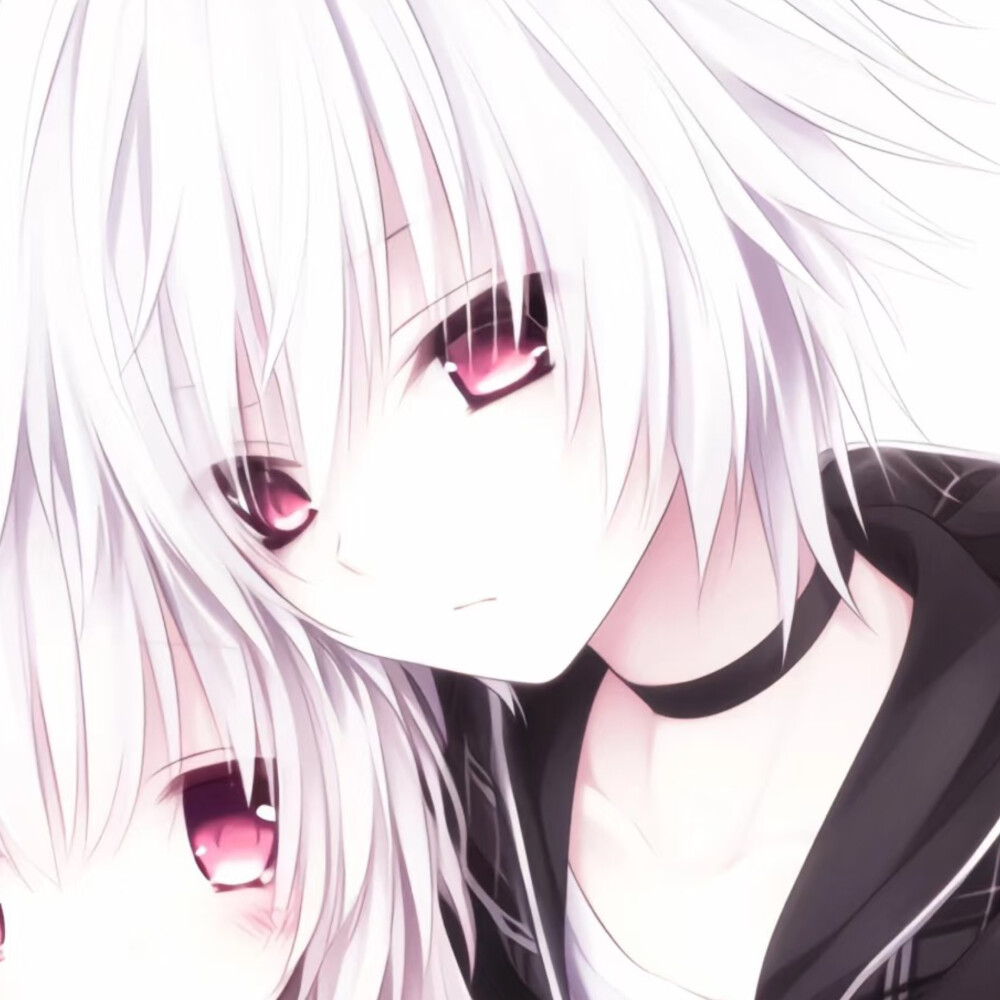 肥婆多少钱一包