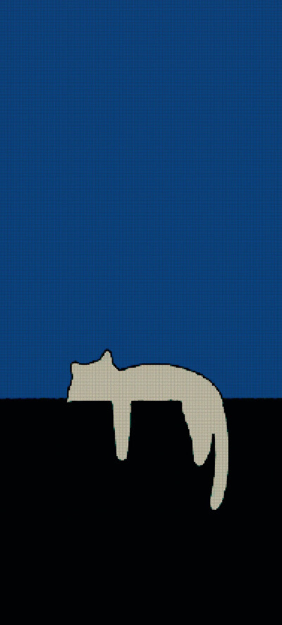 猫猫壁纸
