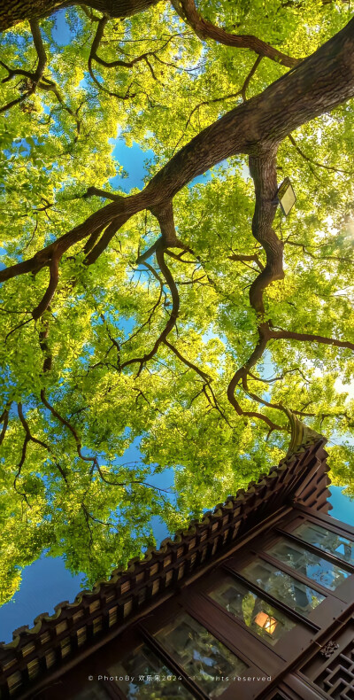 壁纸