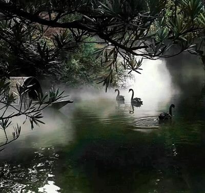注明