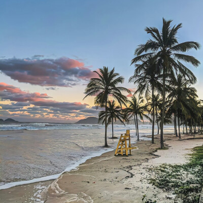 背景·图源微博