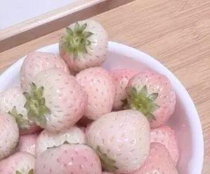 草莓甜品 粉色奶油