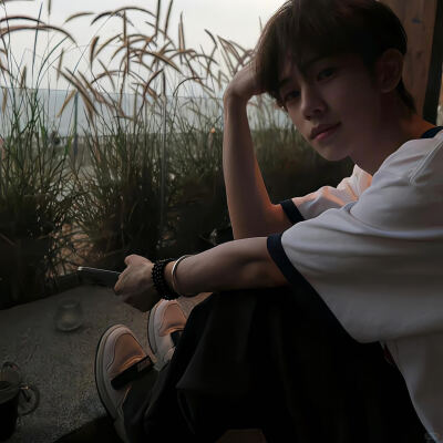 权威男头