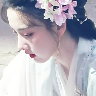 美人泪