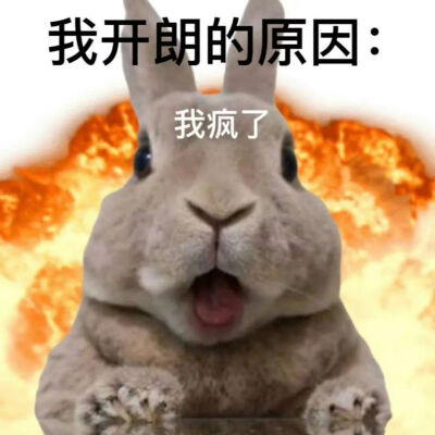 表情包