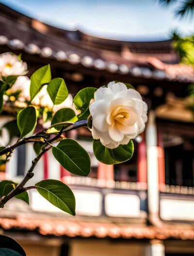 不要去扶一个跪着的人，因为他一旦起来，第一个除掉的就是你。