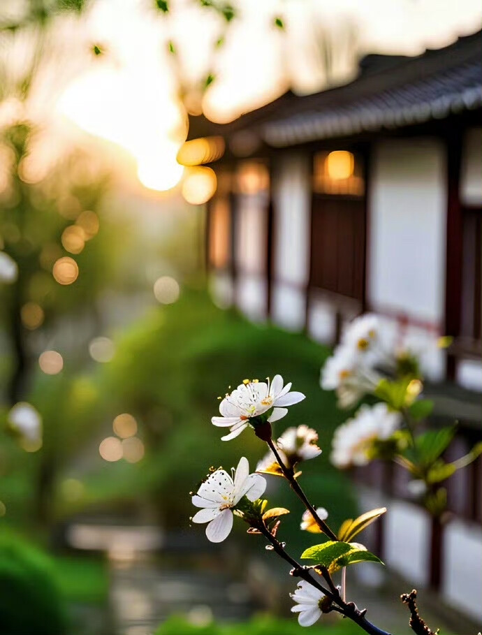 不要去扶一个跪着的人，因为他一旦起来，第一个除掉的就是你。