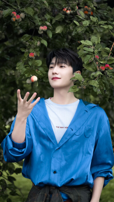 杨洋