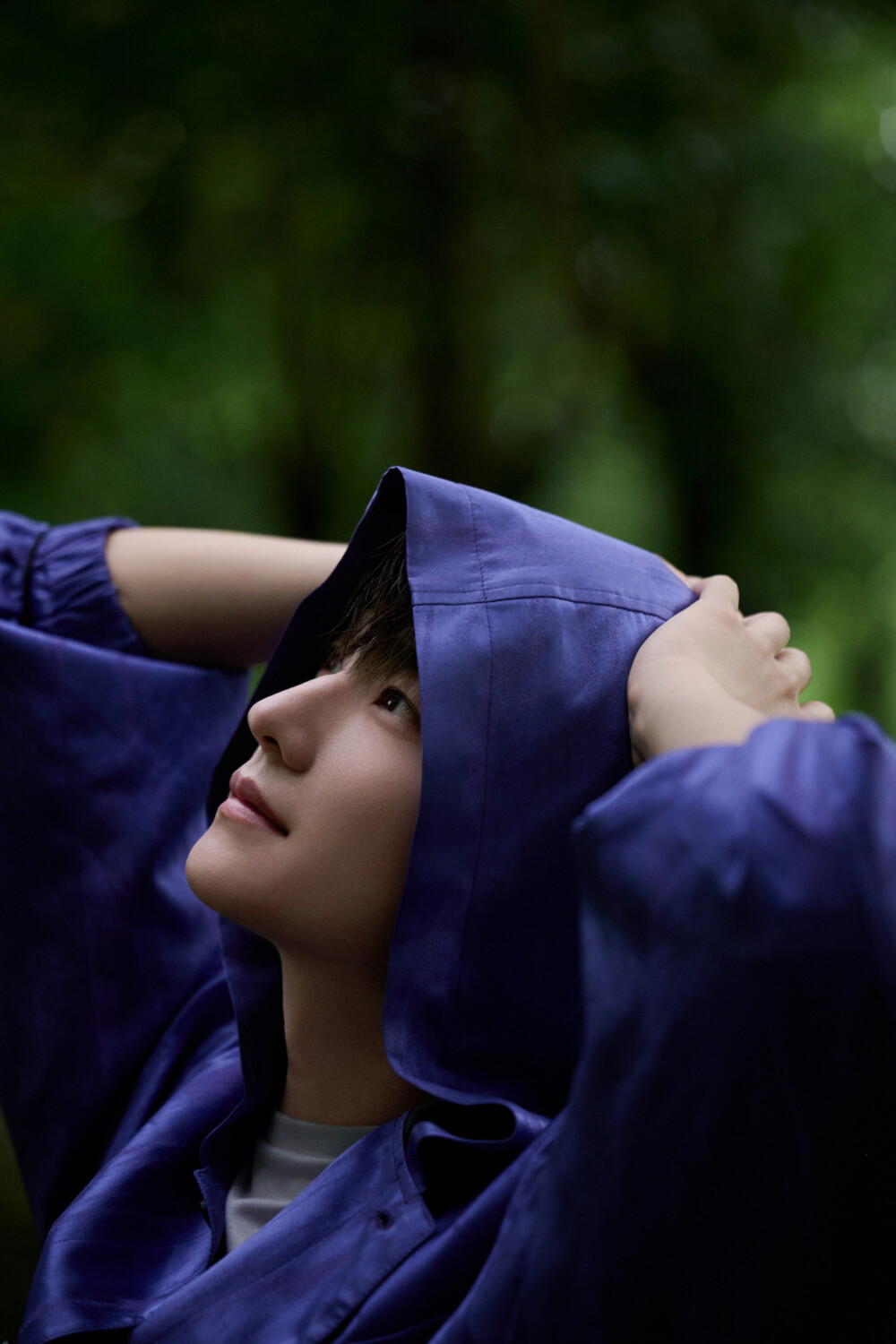杨洋