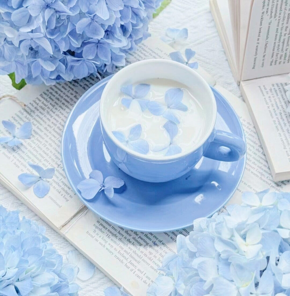 Boiling snowy night、零度温差⁺