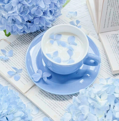 Boiling snowy night、零度温差⁺