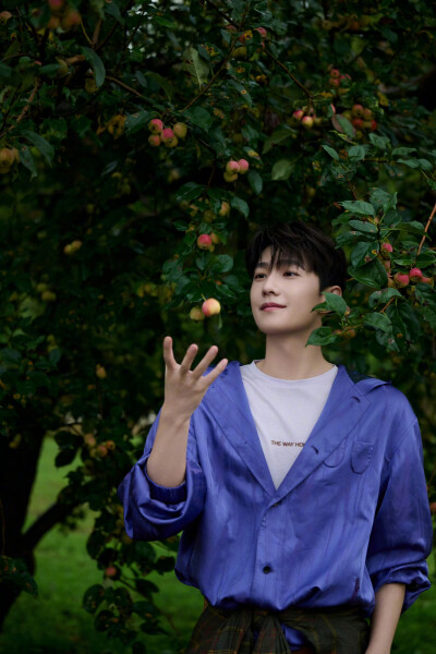 杨洋