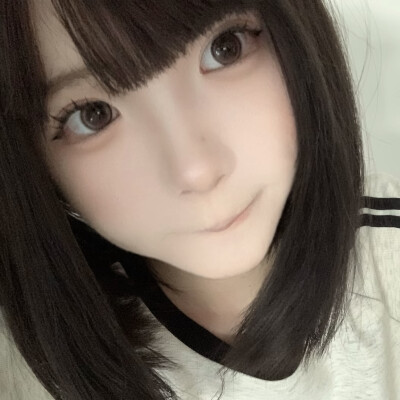 神犬小七