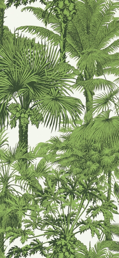 动漫场景壁纸，插画壁纸