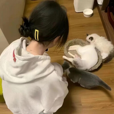 情侣单人头像，双人头像