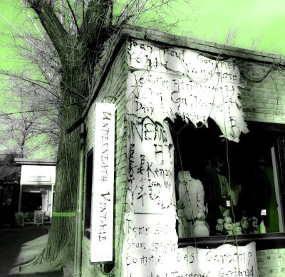 
모네, 그레이“莫奈的灰”森林仕訳☽Parc forestier