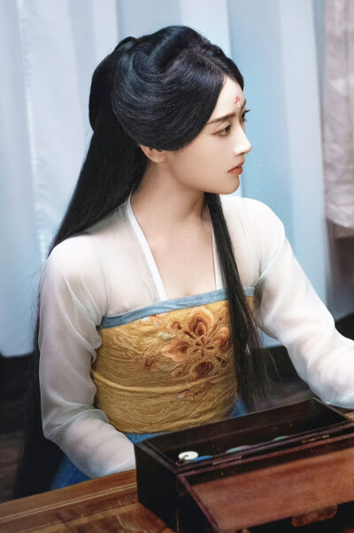 进阶的王妃 洪琳琅