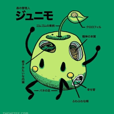 祝尼魔生物构造
图源小地瓜搬运