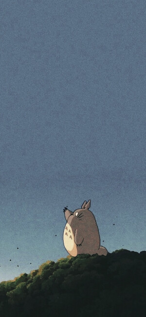 wall