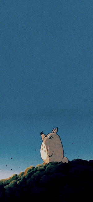 wall
