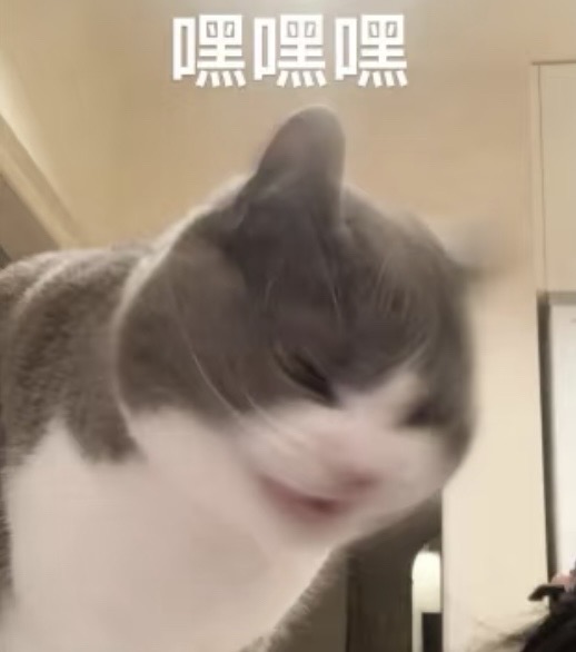 嘿嘿嘿.