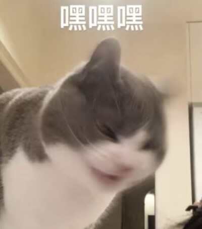 嘿嘿嘿.