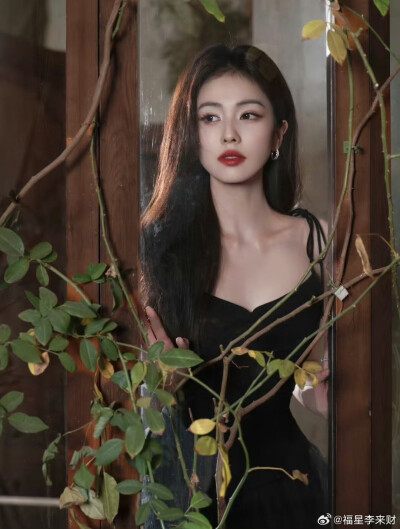 白鹿