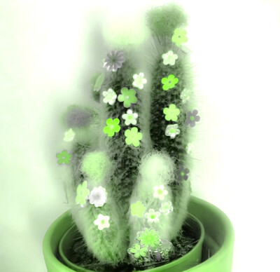 
모네, 그레이“莫奈的灰”森林仕訳☽Parc forestier