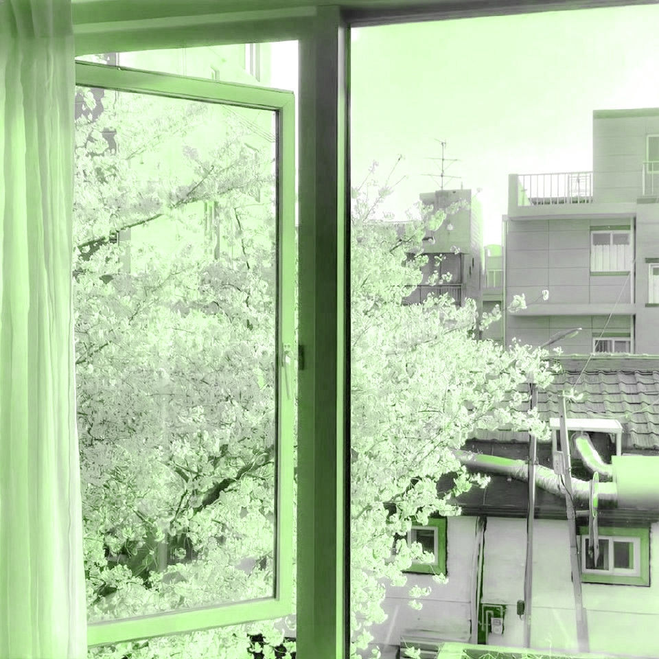 
모네, 그레이“莫奈的灰”森林仕訳☽Parc forestier