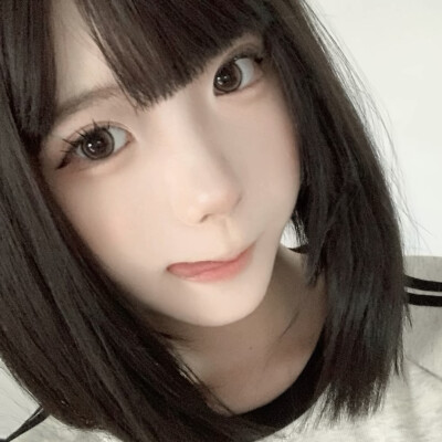 神犬小七