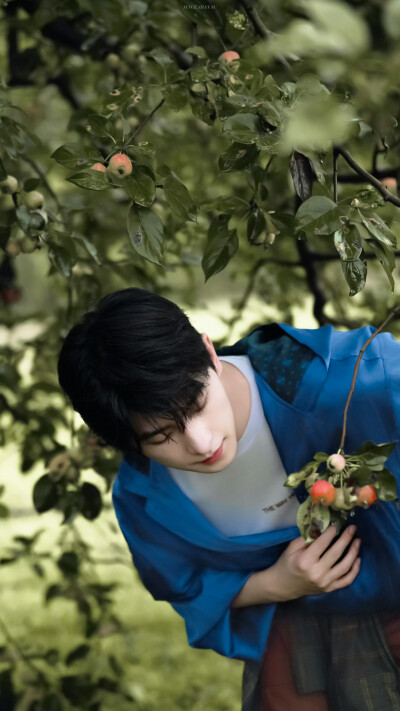 杨洋