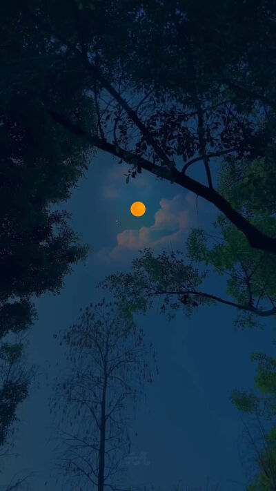 好
