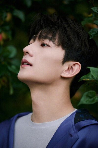 杨洋