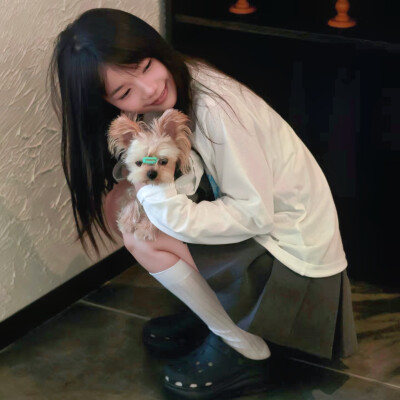 教司