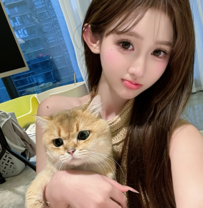 权威版幼
