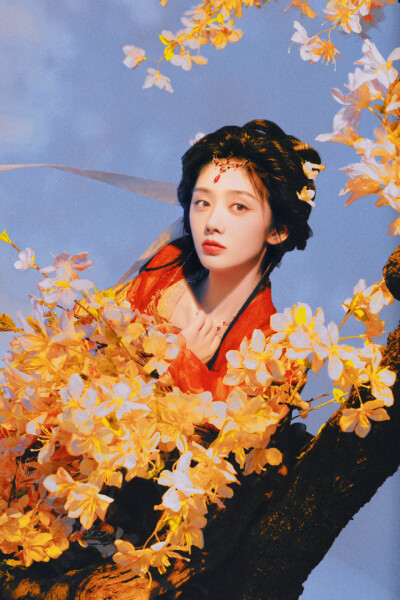 王影璐