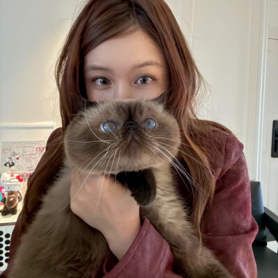 教司
