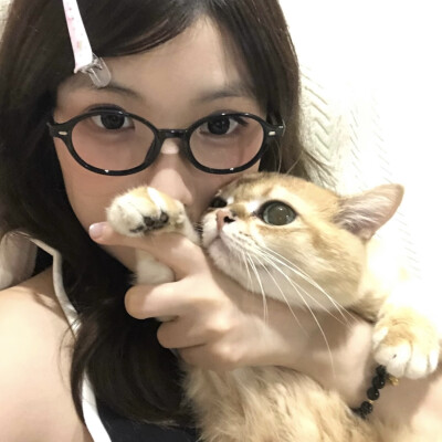 单曲