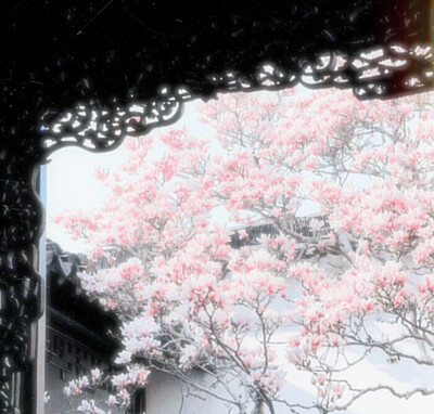 世界说痛苦是场雨