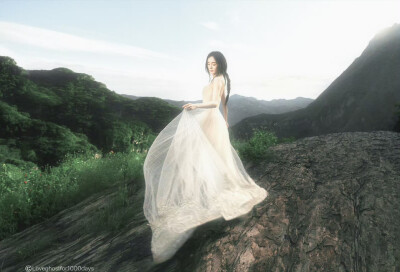 杨幂