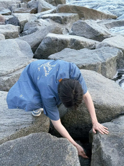 林一