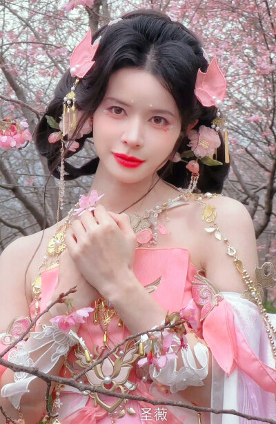 圣薇