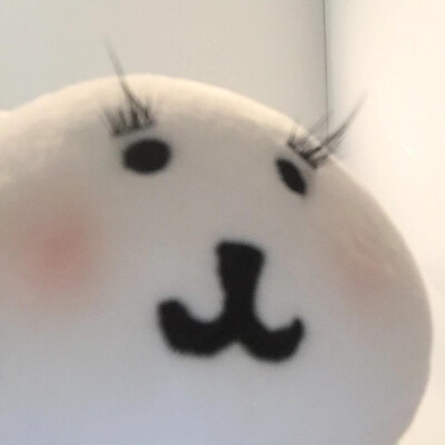 自嘲熊头像
图源各处