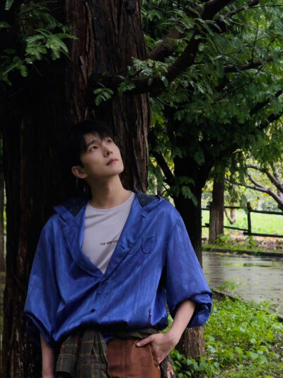 杨洋