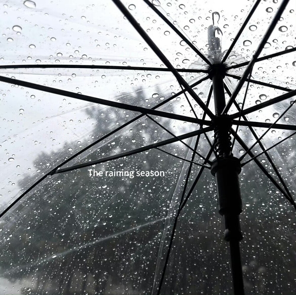 기억:Onda di calore咸涩…시간''海水