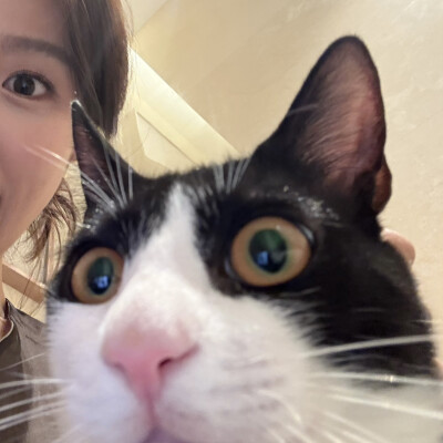自截