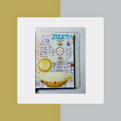 好きです