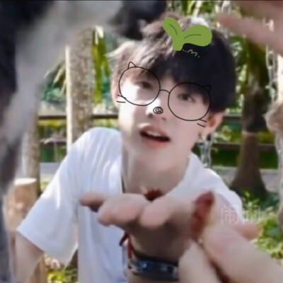 禹禹小草