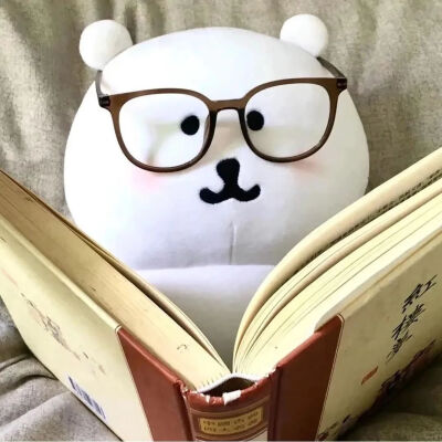 自嘲熊头像